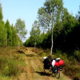 0309F 48 Heide noerdlich Eschede